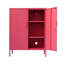 Tamanna Steel 2 - Door Rectangle Accent Cabinet-2078652102