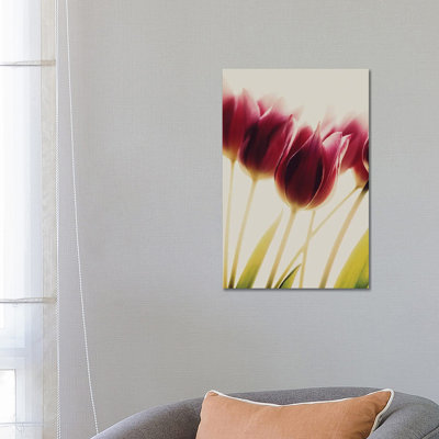 Tulips by Rosalinde Philippin-Lipscomb - Wrapped Canvas Gallery-Wrapped Canvas Giclée
