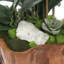 Real Touch Phalaenopsis Orchid Floral Arrangement in Planter