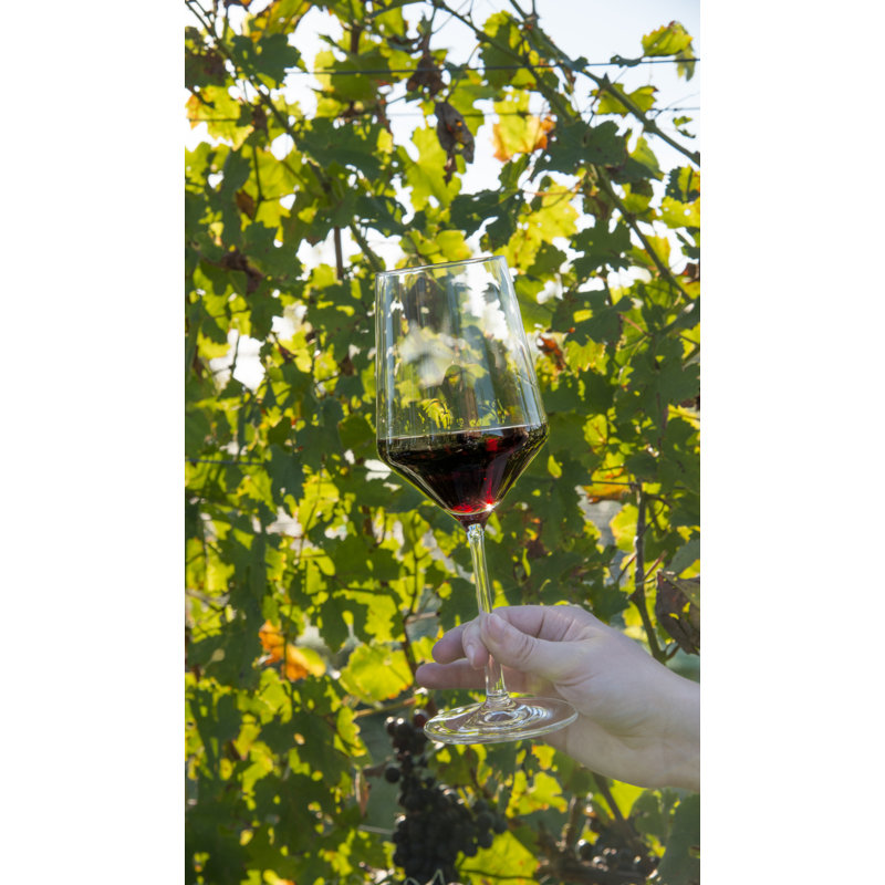 Pure 18 oz. Red Wine Glass