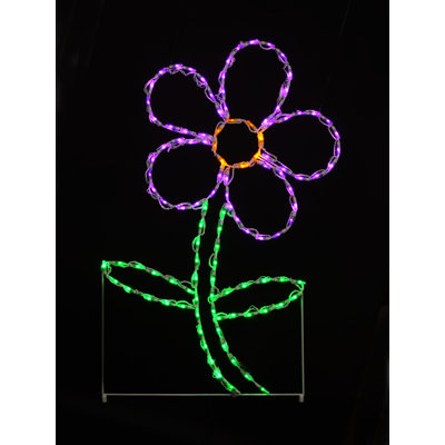 Daisy led lumière