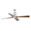 Winche LED Ceiling Fan-1331093470