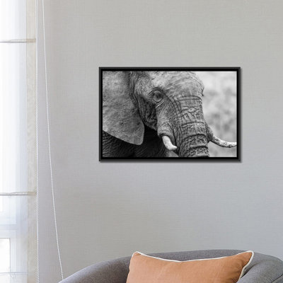 « couch éléphant », reproduction de photo sur toile