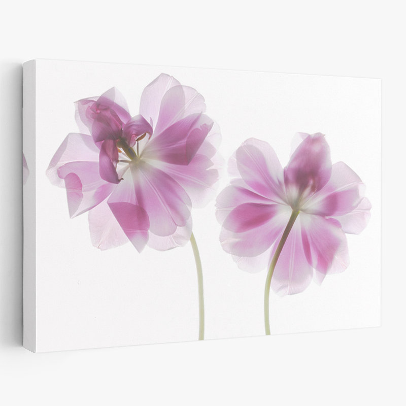 Plantes, fleurs, abstrait, art mural, H 16 po x l 24 po