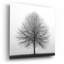«Winter Trio I» par Nicholas Bell, photographie-65445026