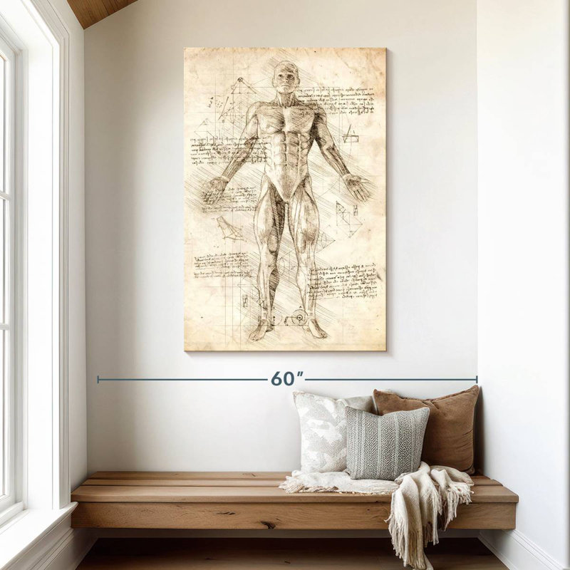 Keiri Human Muscles Anatomy, 48" H x 32" W