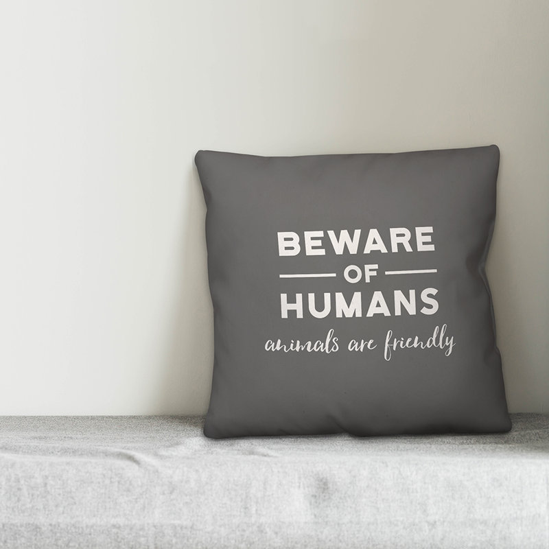 Throw Pillow