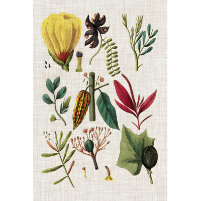 Floral Assemblage I by Vision Studio - Wrapped Canvas Art Prints