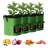 Yocasta Planter Box-878103028