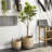 63'' Faux Fiddle Leaf Tree in Pot