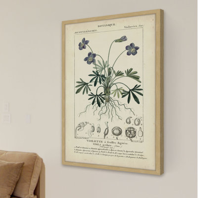«Botanique Study in Lavender IV», reproduction d'impression encadrée