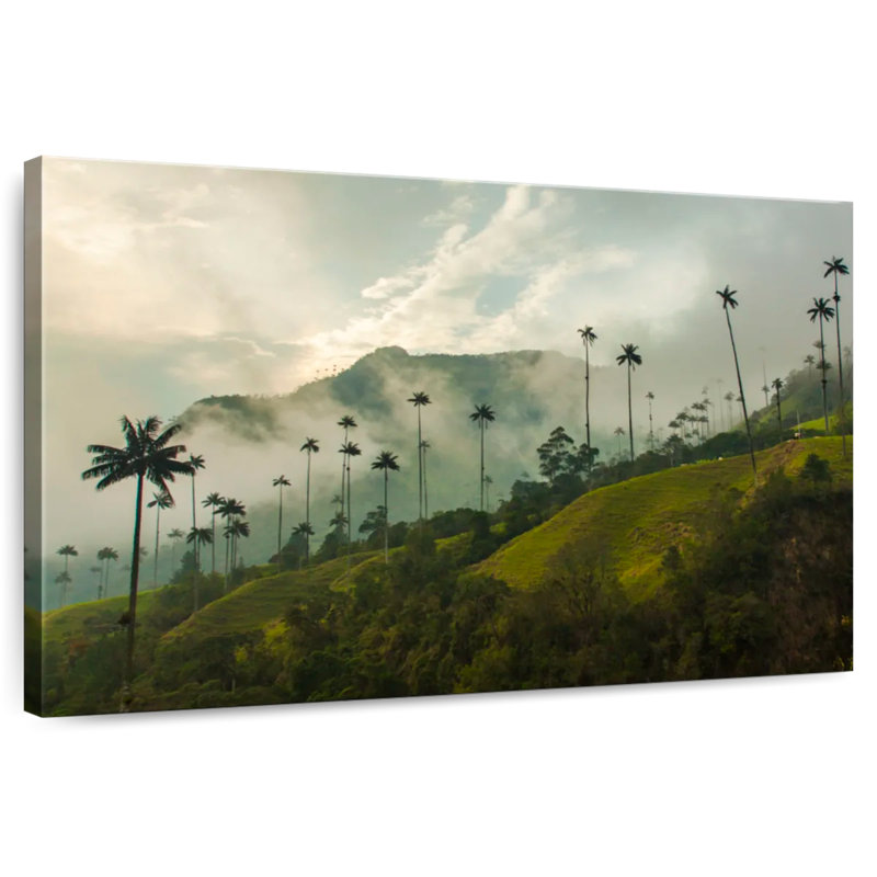 Vallée de Cocora brumeuse, H 30 po x l 45 po