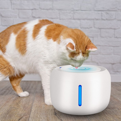 Automatic Water Dish