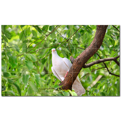 Photo d'oiseau 4,25 po x 4,25 po
