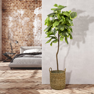 60'' Faux Fiddle Leaf Fig Tree in Wicker/Rattan Basket