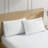 Soft Microfiber Pillowcase - Basics by Wayfair™-76020803-55944753