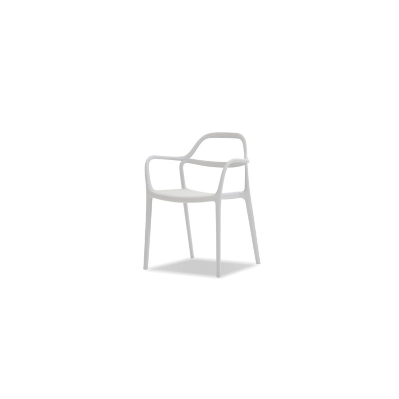 Chaise avec accoudoirs Chewie, Blanc