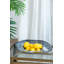 Jonis Glass Decorative Bowl 1