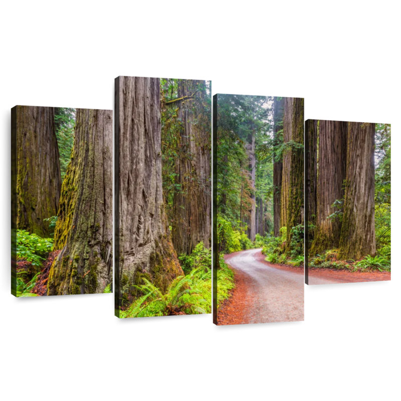 Harnek Redwood Forest Dirt Road, H 22 po x l 36 po