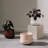 Juba Handmade Ceramic Pot Planter-79186584