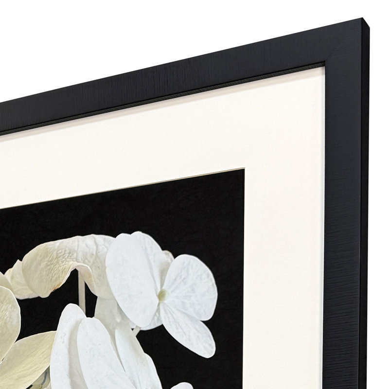 Modern Hydrangea II Framed Art