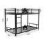 Metal Bed