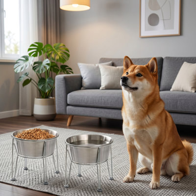 Elevated Stainless Steel Dog Bowls for Medium/Small Dogs, 48oz/6 Cups Each, Non-Slip Base, 2-Pack