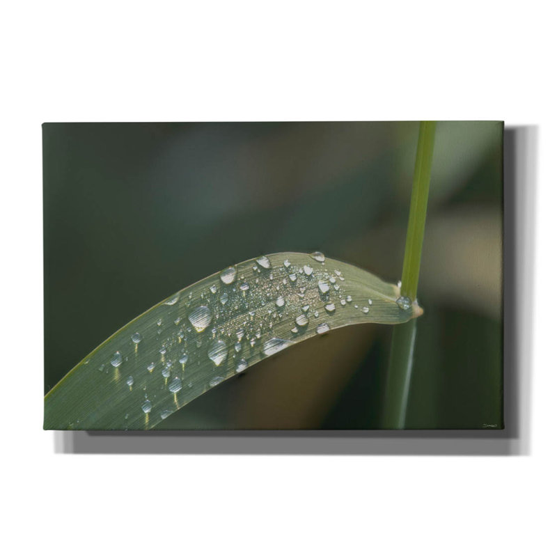 "Textures 20" par Gordon Semmens, H 12 po x l 18 po x P 0,75 po