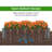 Srihaas Outdoor Planter Box