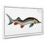 Rusfish-Sturgeon Fish by M.E. Bloch - Wrapped Canvas-55323993