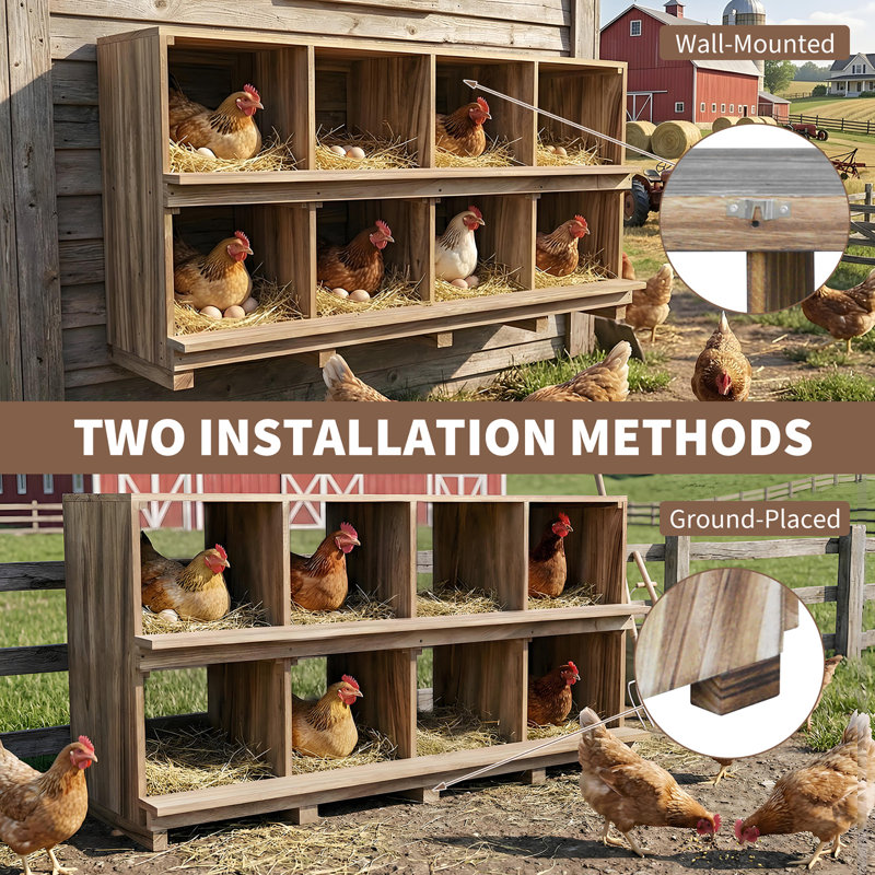 Boîte de nidification en bois à 8 compartiments avec perchoirs - Boîte à œufs ventilée et isolée - Fixation murale ou au sol - Nid facile à nettoyer et sécuritaire pour les poules, les poules et les canards