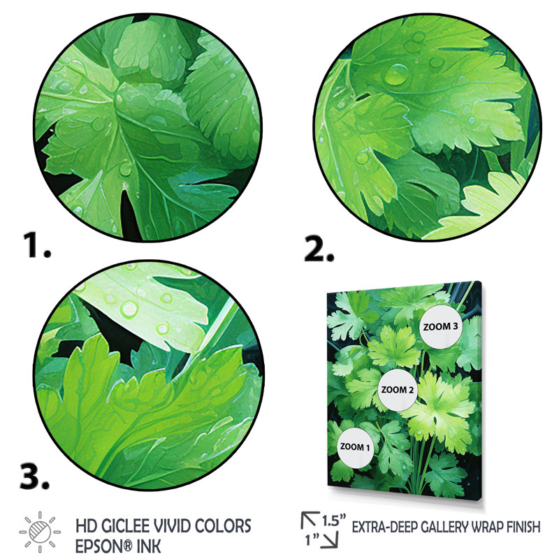 Herbes, persil, danse 1 - Art floral, Cadre flottant noir, H 44 po x l 34 po