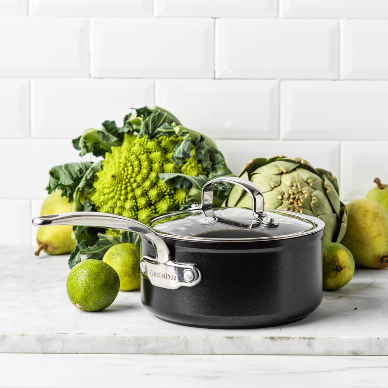 Greenpan Barcelona Pro Saucepan, 18 cm H x 41 cm L x 22 cm W