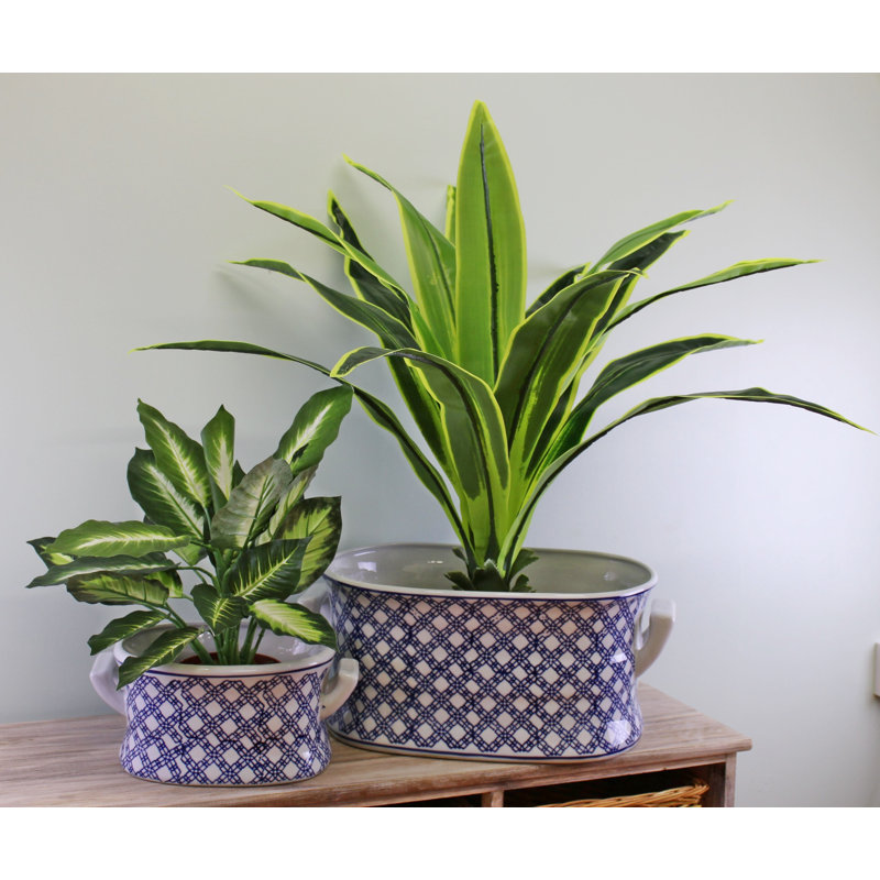 Anharika Ceramic Pot Planter