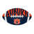 Auburn University