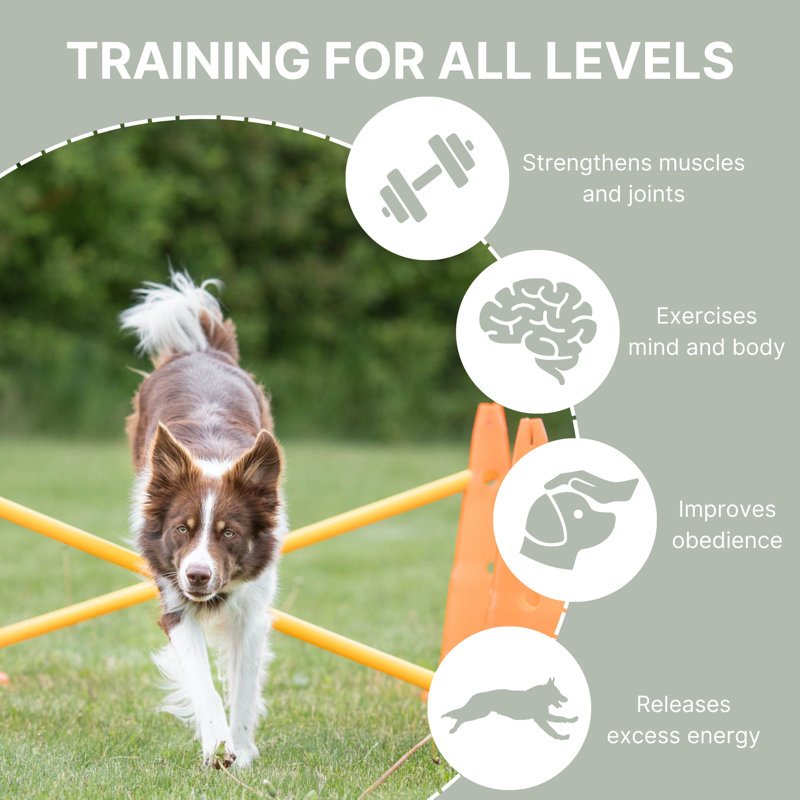 Adjustable Orange and Yellow Dog Agility Hurdle Cone Set