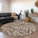 Premium Machine Washable Prisco Brown Rug
