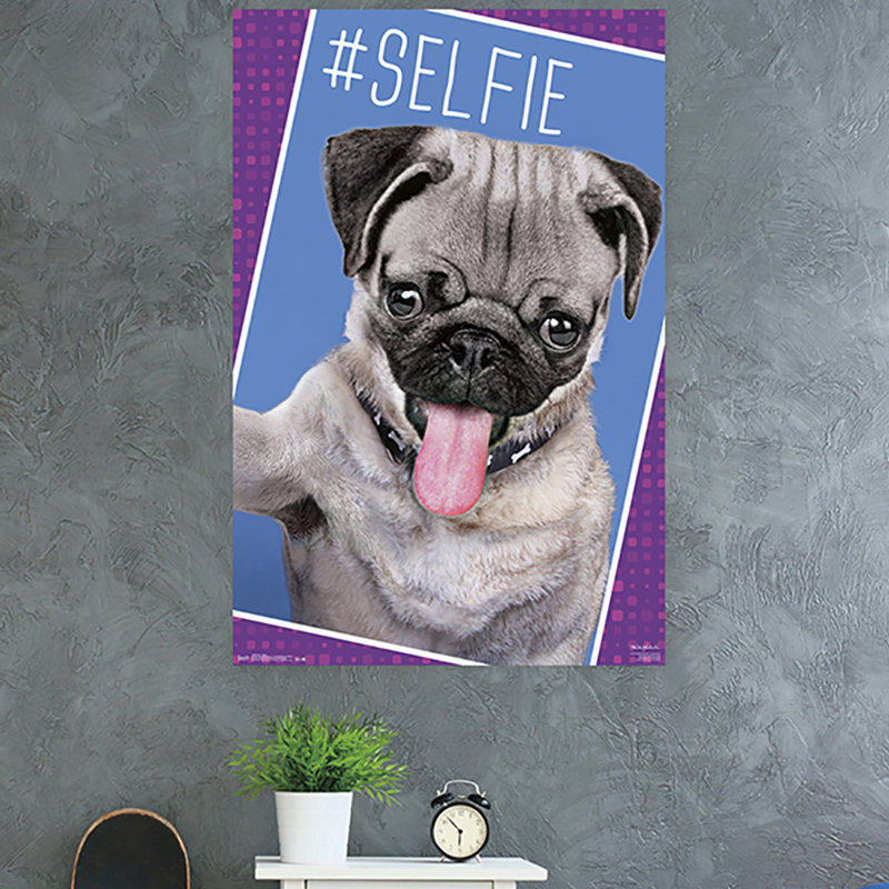Impression sur papier carlin-selfie