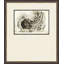 Architectural Adornment 2 Framed Drawing Print
