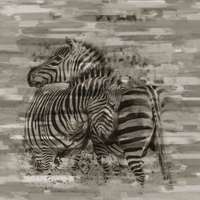 Parvez Taj - Wrapped Canvas Print