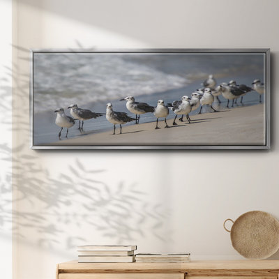 What's Up Gulls- Framed Canvas