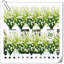 Arrangement Lillies-983255569
