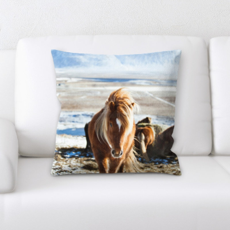 Coussin cheval