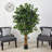 66'' Faux Ficus Tree in Pot