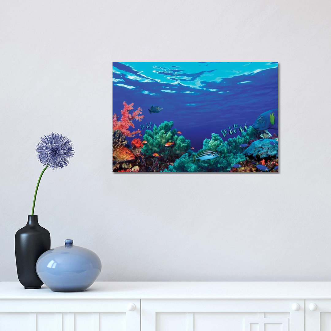 Underwater Coral Reef Community - Wrapped Canvas Print