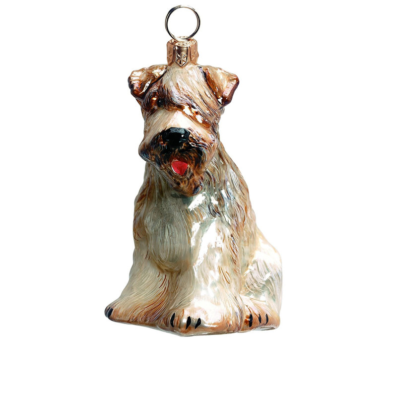 Soft Coated Wheaten Terrier