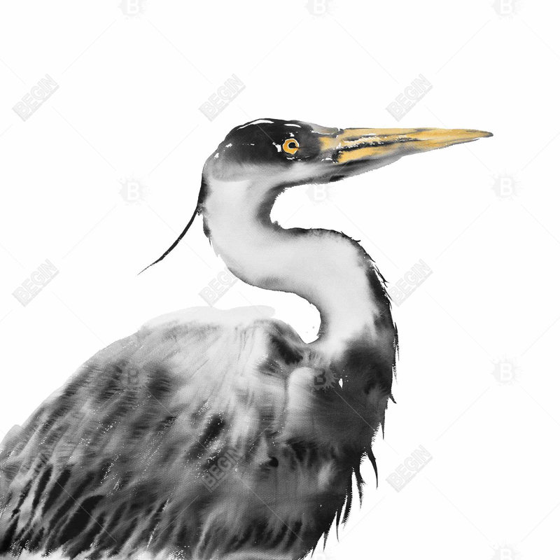 «Great Heron» sur toile