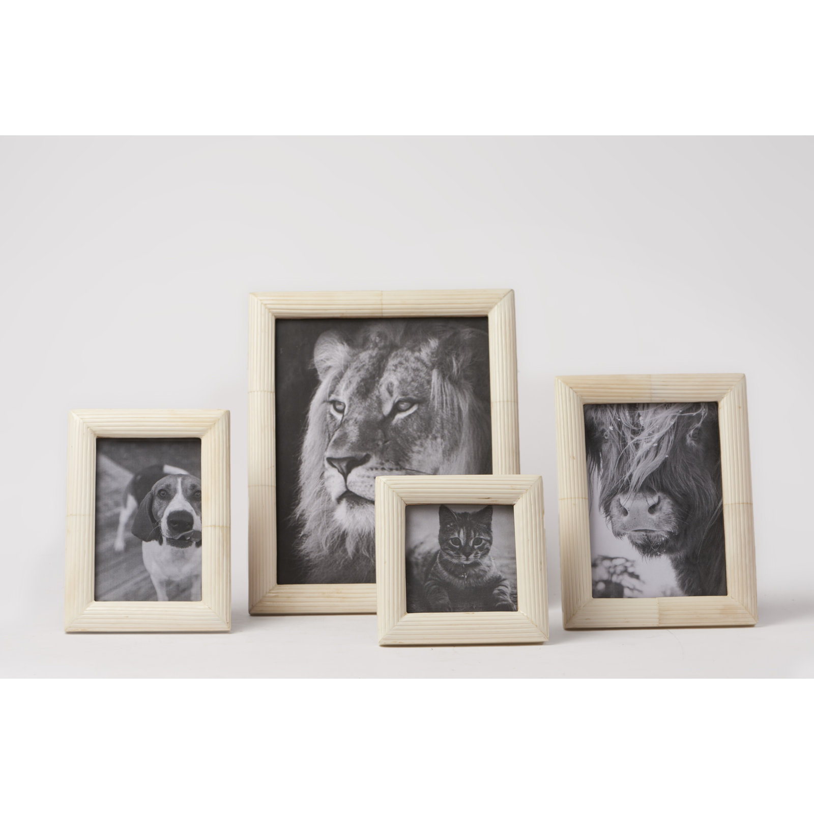 Zuriah Bone Matte Picture Frame, 4" x 4", Ivory