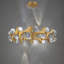 Amorina 24 - Light LED Pendant-1726558554
