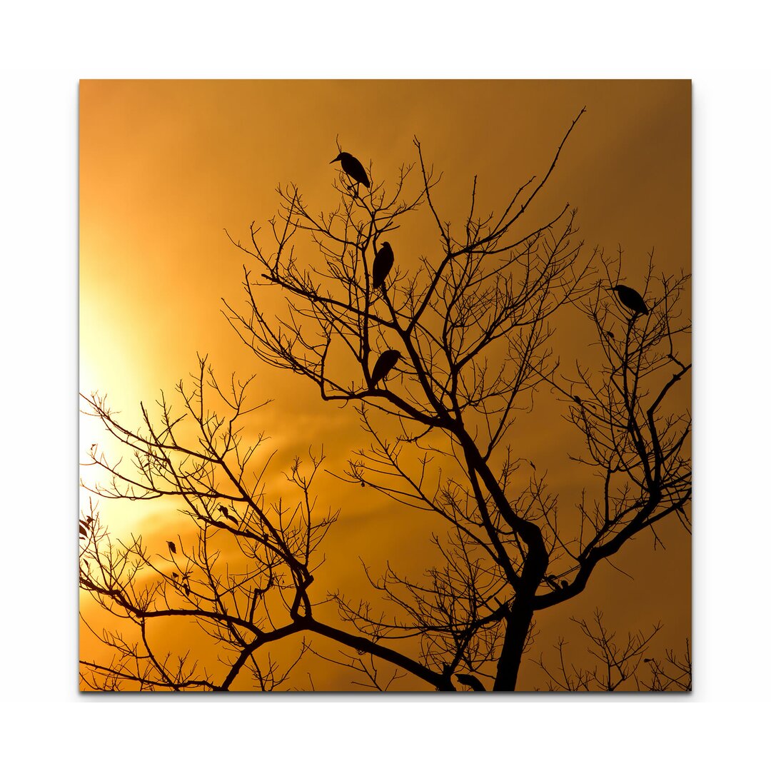 Leinwandbild Baum im Sonnenuntergang